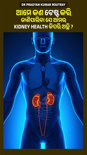 Which Tests Check Your Kidney Health? | Doctor Explains
