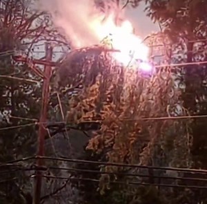 Moments before POWER OUTAGES caused by a sagging limb on a power line in Oconee County, SC. ⚡️⚡️⚡️🥶 #malarkeynews 🎥: Leanne Ramey | Malarkey_News