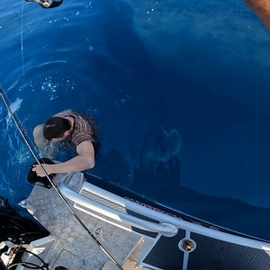 Hoping Santa sees this please share! | Fishing With Timmy Turtle