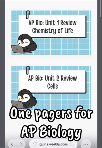 All 8 units of AP Bio One Pagers are uploaded to the website … they are more than one page 🤷🏻‍♀️ #apbio #apbiology #highschool #apexams #studywithme Inspiration: @Art Moehn