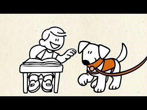 STORY DOGS - The Magic unveiled