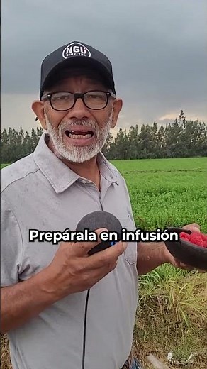 El poder oculto de la Frambuesa: Fruto y Hoja 🌿🍓