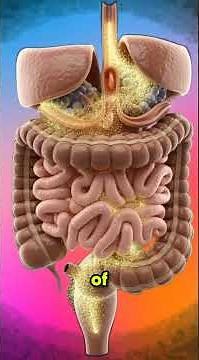 Monster Energy Drink Effects on the Human Body | 3D Anatomy Animation