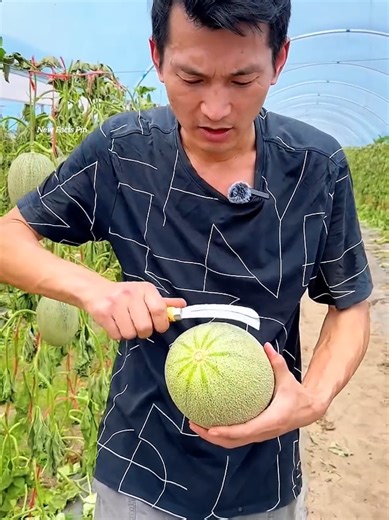 Top 10 Facts (@top10facts00)’s videos with original sound - Top 10 Facts