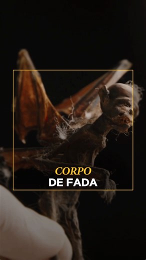 4M views · 109K reactions | Em 2013, uma descoberta intrigante foi feita: o corpo de uma criatura com asas e forma humanoide, despertando o imaginário de todos. Com quatro membros, duas asas e características que desafiam a ciência. Seria uma fada, uma criatura mítica ou algo ainda mais inexplicável?​ ​Esses e outros conteúdos você assiste na TV e no nosso canal no YouTube! ​ #HistoryChannel #Fadas #InexplicavelAméricaLatina​ #InexplicavelComDantonMello | HISTORY | Facebook