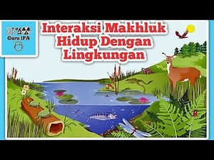 Interaksi Makhluk Hidup Dengan Lingkungan | Pola Interaksi Dalam Ekosistem | Simbiosis