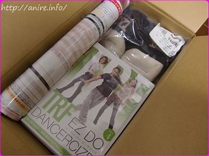 TRFダンササイズ第1弾と第2弾を比較してみた結果と効果 | OLが副業を不動産投資で始めて自由で豊かに暮らす方法