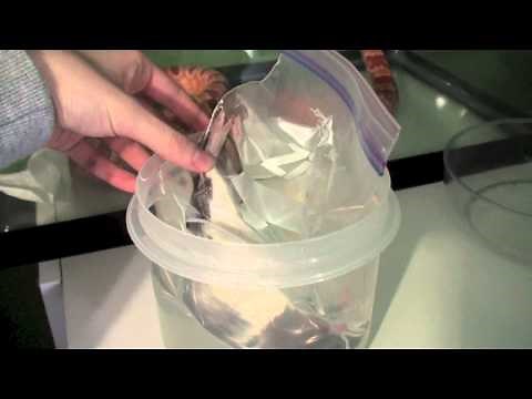 How To: Thawing Frozen Rats for Your Snake Collection.