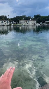 401K views · 5.9K reactions | Searching clear springs with Underwater drone! #fifish #drone #cool #scuba | Adam Brown Adventures | Facebook