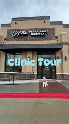 Explore Our Vet Clinic Tour Inside