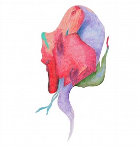 Supernormal Festival | 1-3 August 2025