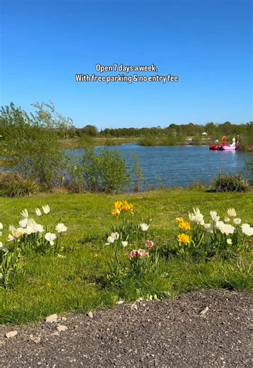 Dog-Friendly Cafe & Park: Relax, Stroll & Coffee