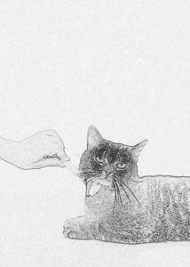 Elegant Pampered Cat Drawing — Black & White Cat Art Print (instant Download) - Etsy Canada
