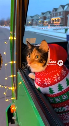 Recycling truck driver is a shift hero