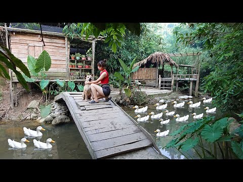 Gardening life and building a farm in the forest | Ana Bushcraft - 3 years alone living off grid