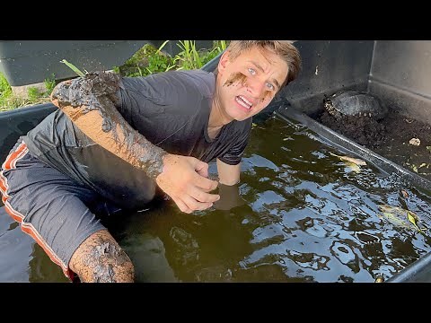 SAVING BABY TURTLES FOUND TRAPPED IN BLACK TAR WATER ! I CANT BELIEVE THIS…