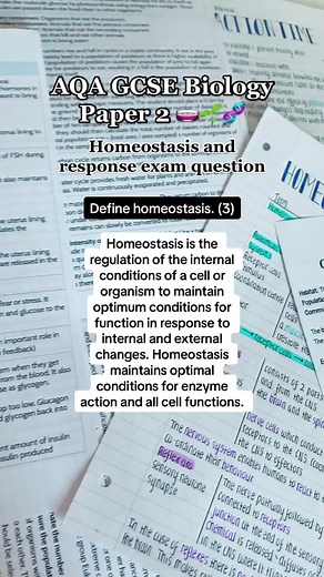 GCSE Biology Paper 2 Revision 🌱🧬🧫 #gcse #gcsebiology #biology #gcseobjectives #revision #studytok #study #exams