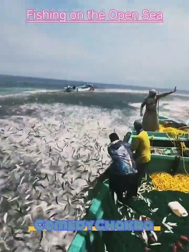 🚤🎣 Fishing on the Open Sea – The Ultimate Adventure! 🌊 #reels