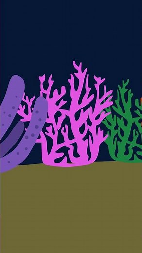 What is coral? #NHM #Reef #Ocean