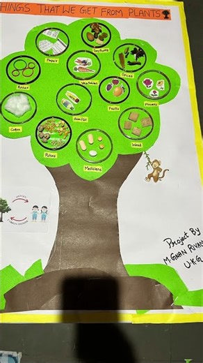 My kid project UKG - Things we get from plants