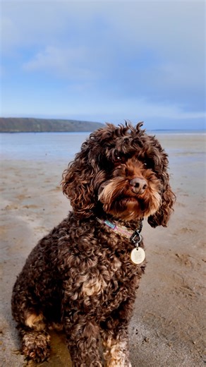 Friday took us to Filey for a run along the beach with the dog,...