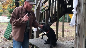 Force Fetching a pup is super simple. It's all about building a super strong confident hard charging pup right from the very moment we get em' home. Without a solid foundation, our pups will be only at most a 1/3 of what they could. Literally, all the pups I raise myself thru the TRT program goes to the table with this type of attitude and ready to work. That's where The Retriever Trainer comes in. Every single small step is covered from a 6 week old puppy all the way up to running the Grand, Ma