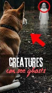 Top 3 Animals That Can Actually See Ghosts