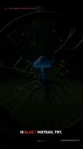 6 Conversational Moves That Create Emotional Hooks