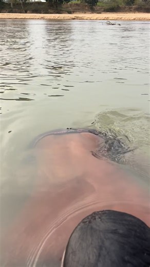 Ashish Rajwade on Instagram: "Hm kre to kre kya"