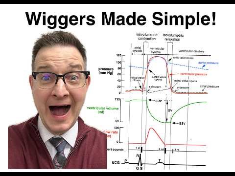 The Wiggers Diagram: How EKG, Pressures, Volumes, and Heart Sounds Fit Together