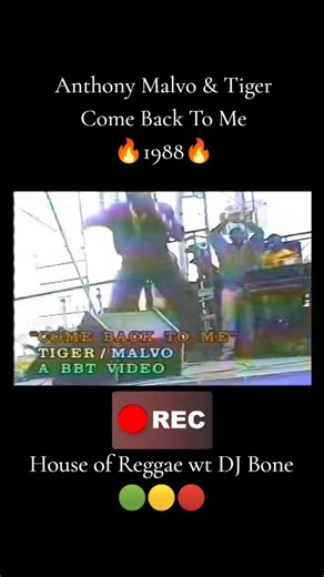 Come Back To Me by Anthony Malvo & Tiger: A Reggae Hit