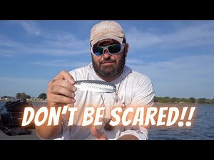 Ultimate Guide To The Big Bass Bait 50% Of Anglers Are Scared To Throw! Lake Fork Flutter Spoon Tips
