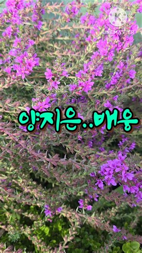 양지은#배웅