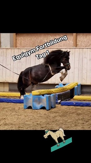 Michael Geitner on Reels