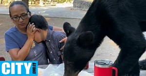 Μητέρα προστάτεψε με απίστευτη ψυχραιμία τον γιο της όταν αρκούδα τούς πλησίασε (επικίνδυνα)