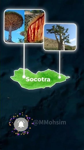 Socotra Island: Earth’s Most Alien-Looking Place 🌍 MrM