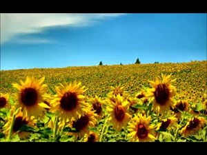 Hot fun in the Summer time by Sly and the Family Stone
