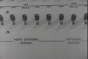 Researcher Explain Learners Elegant Interaction Laboratory | Editorial Video | 13258972b | Shutterstock Editorial