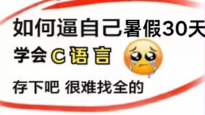 【2025年最新C语言教程】如果我在暑假自学C语言时，看到这个视频，该有多好！