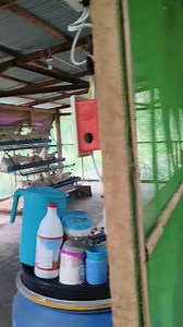 Business? Magpa itlogan na! Interested? Call 09353920951 | SMG Agri Trading