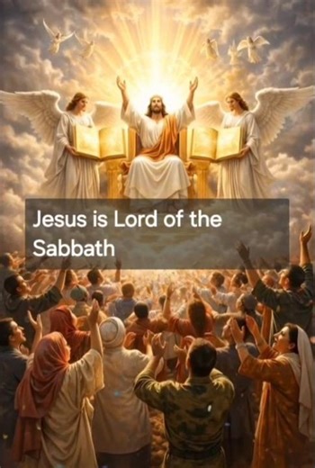 The Son of Man is Lord of the Sabbath. 🙏 #Lord #Sabbath#love #flowers