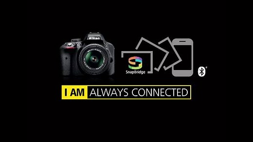 14K views · 118 reactions | We are excited to showcase the first...