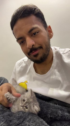 Bendrita's Wife Ilaaf and Adorable Kitten Moments