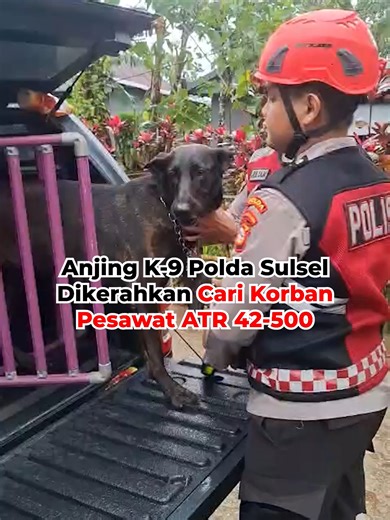 Makassar, IDN Times - Polda Sulawesi Selatan mengerahkan anjing pelacak (K-9) untuk membantu proses pencarian korban jatuhnya pesawat ATR 42-500 di kawasan Gunung Bulusaraung, Kabupaten Pangkep. Kepala Unit (Kanit) Polsatwa Ditsamapta Polda Sulsel, Iptu Samuel Ary, mengatakan kehadiran tim K-9 bertujuan mempercepat pencarian korban di medan yang sulit dan tertutup vegetasi lebat. “Kami datang ke sini untuk ikut membantu proses pencarian korban pesawat ATR 42-500,” kata Samuel di lokasi posko pen