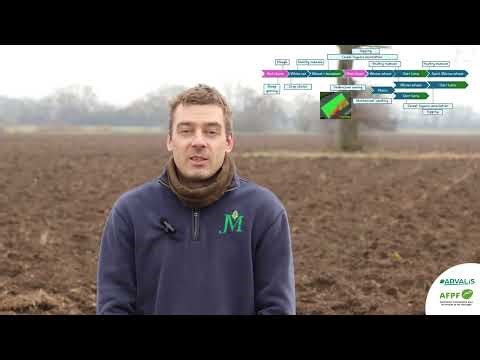 Red Clover In an Organic Agroecological cropping system In SIMONE INTERREG NWE Project