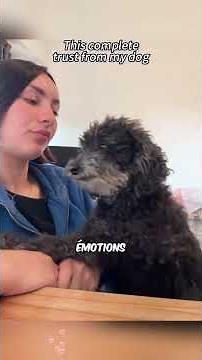 Pourquoi Les Chiens ADORENT Une Personne En Particulier ? 🐕 #shorts
