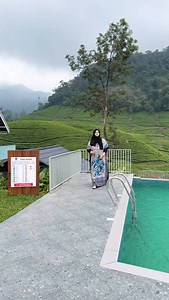 2.2K views · 861 reactions | Munnar Tea plantation Resort ,For Booking Resorts Whatsapp +91 7994444007 Wayanad Munnar Ooty Vagamon Thekkady All over Kerala & International Trips Budget Friendly premium Luxury categories ✖️Don’t Repost Our Videos Wayanadresorts,budgetFriendlyresorts,poolresorts,munnarresorts,ootyresorts ,pool resorts,family resorts,homestays,private property | BENIZ TALK by Benazir Ameen | Facebook
