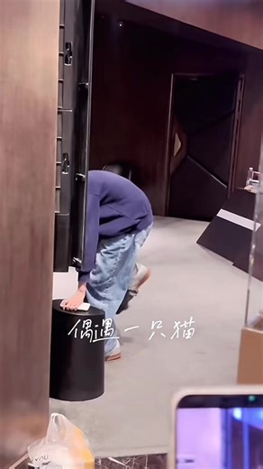探索第四代家庭的故事与成长