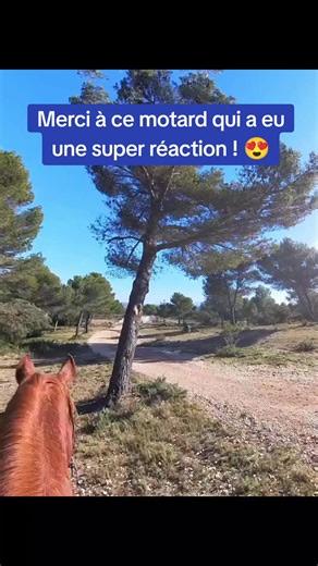 Partage de chemins entre motos et chevaux - Adaptabilité et sécurité