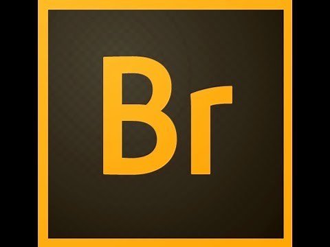 How to Import and Organize Photos with Adobe Bridge
